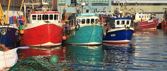 brixham-boats-in-harbour-1280x280.jpg