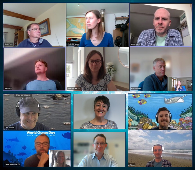 A collage of ABPmer staff wearing blue