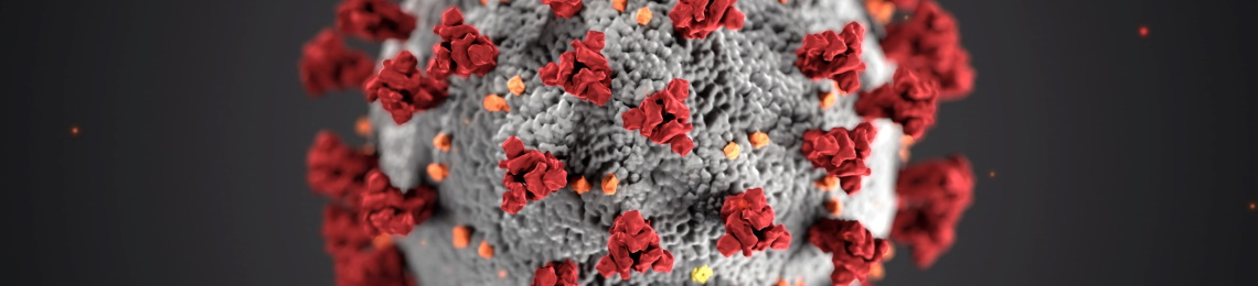 CDC coronavirus ultrastructural morphology