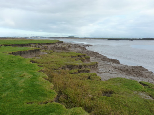 Developing the Severn Estuary CHaMP