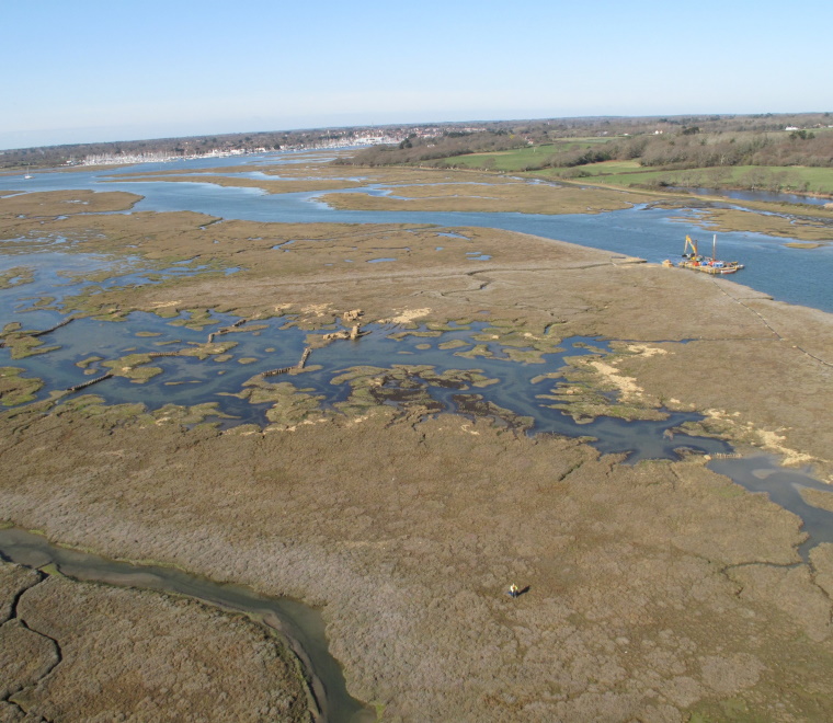 You might also like...