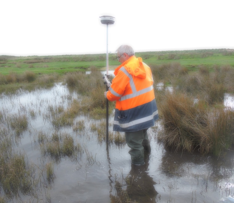 ABPmer spring survey collage
