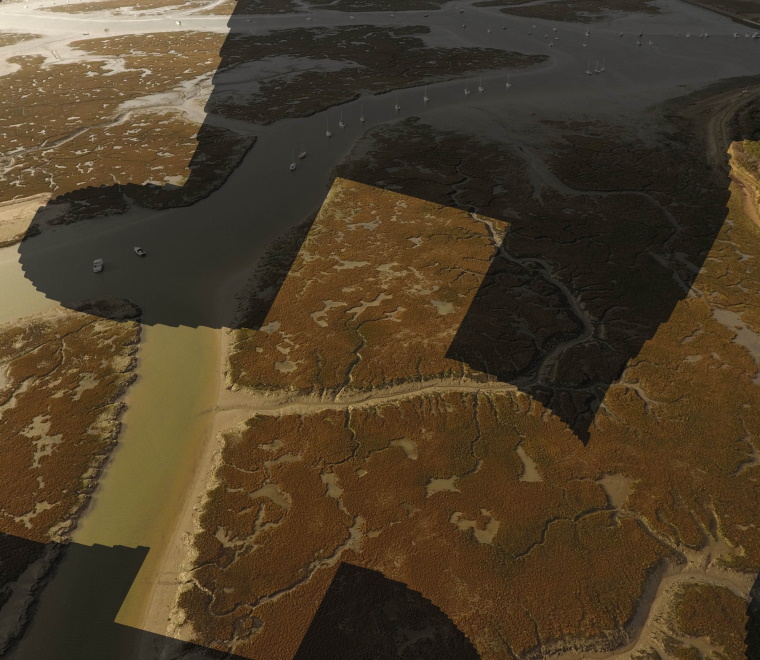 You might also like...