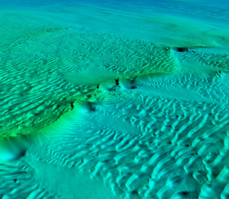 You might also like...