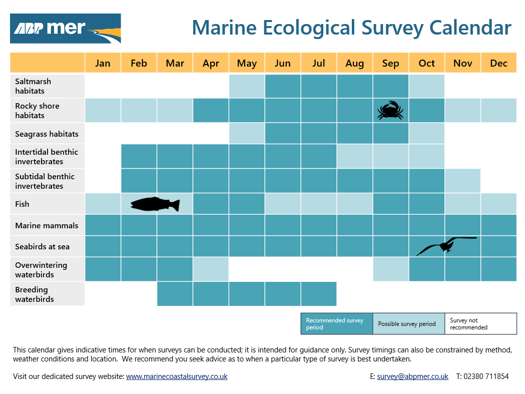 Marine ecological survey calendar - ABPmer