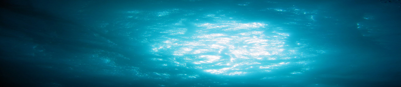 A photo of the ocean from underwater
