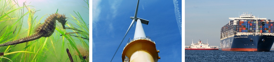 Seahorse wind turbine cargo vessel