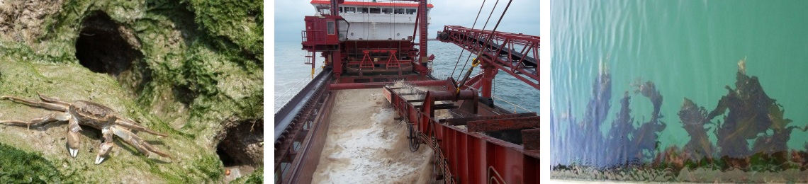 Biosecurity planning collage