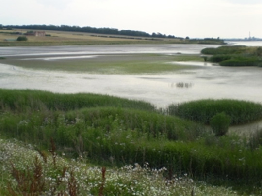 welwick chowder ness square