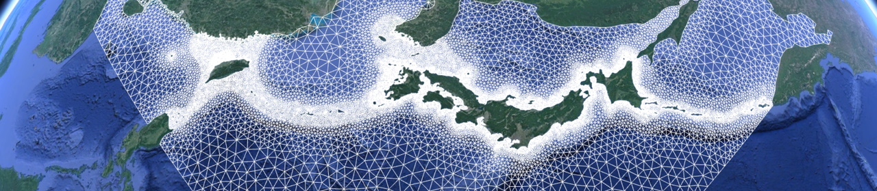 Northeast Asia wave model grid