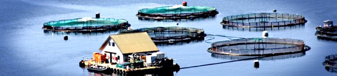 Aquaculture fishfarm