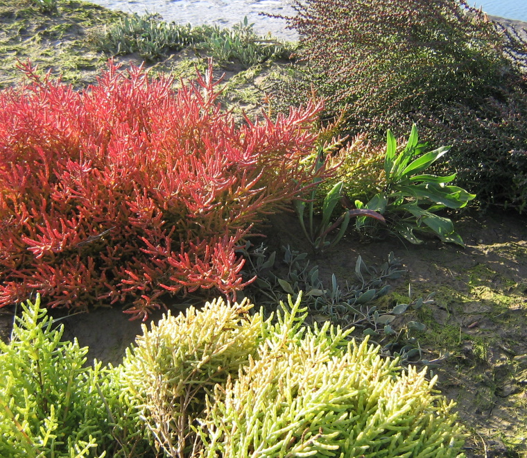 Managed realignments