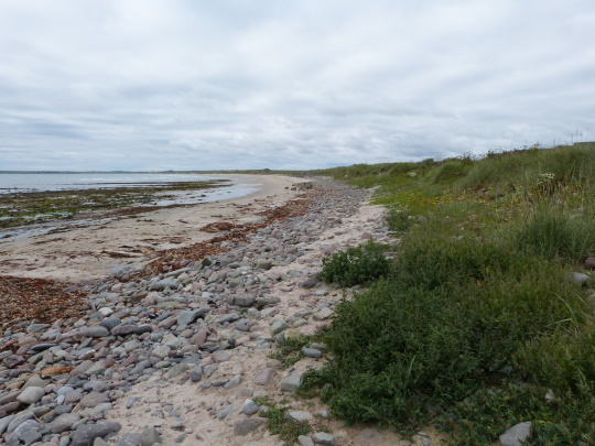 sinclaris bay 540X405