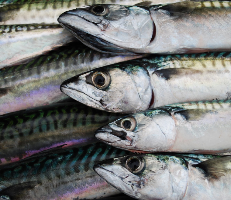 You might also like...