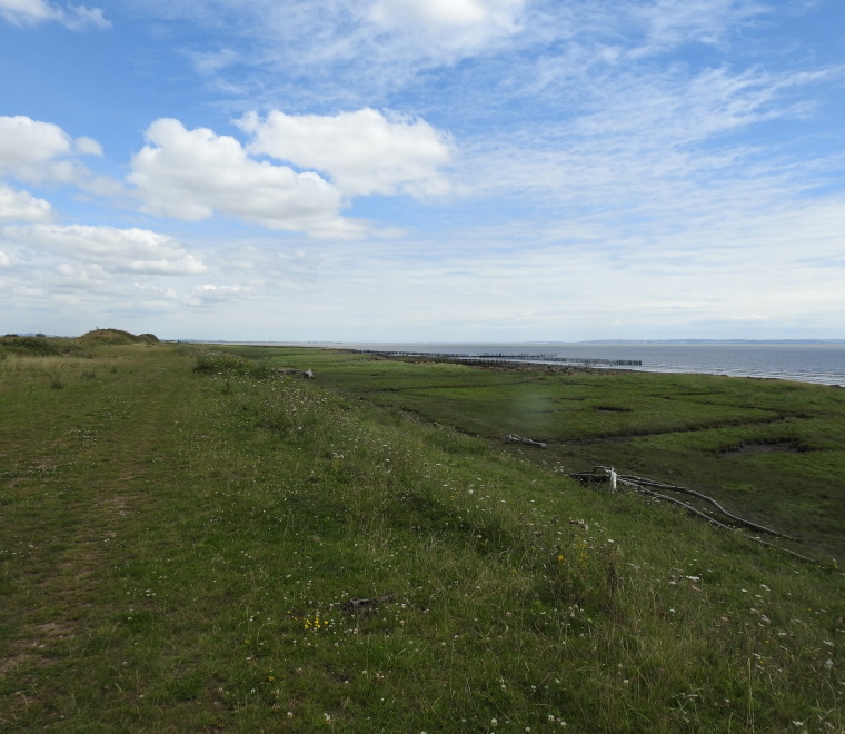 A photo of a view towards polders from West Outfall, Rumney
