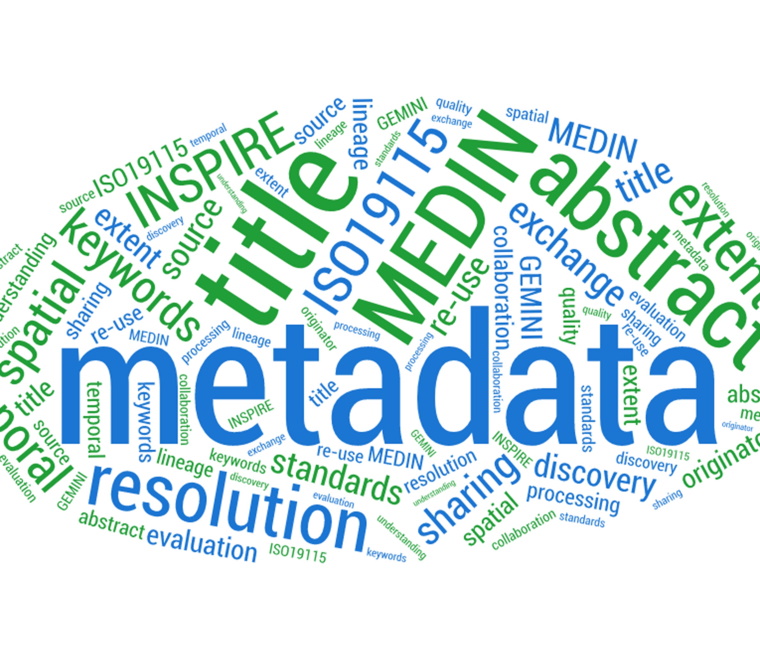 Metadata word cloud