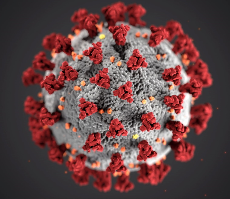 CDC coronavirus ultrastructural morphology