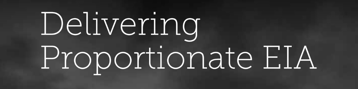 Delivering Proportionate EIA report snippet